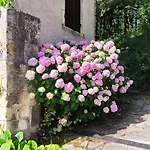 La Fontaine Du Mas Frühstückspension 3*