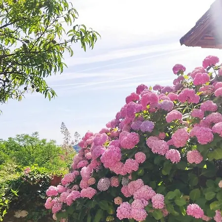 Bed & Breakfast La Fontaine Du Mas Thiviers